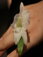 images/album2/4.jpg