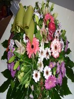images/album3/7.jpg